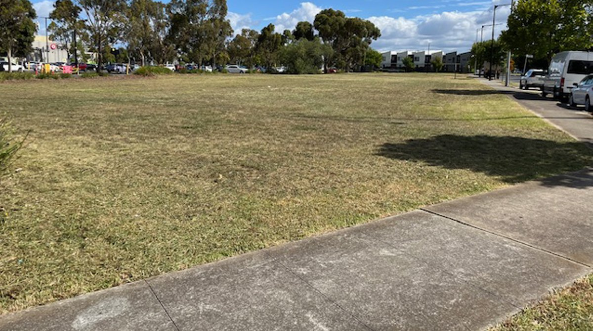 Commercial Garden Before