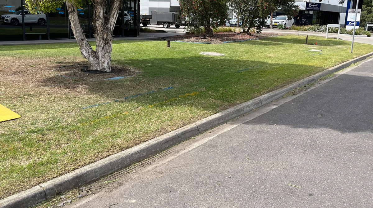 Commercial Garden After