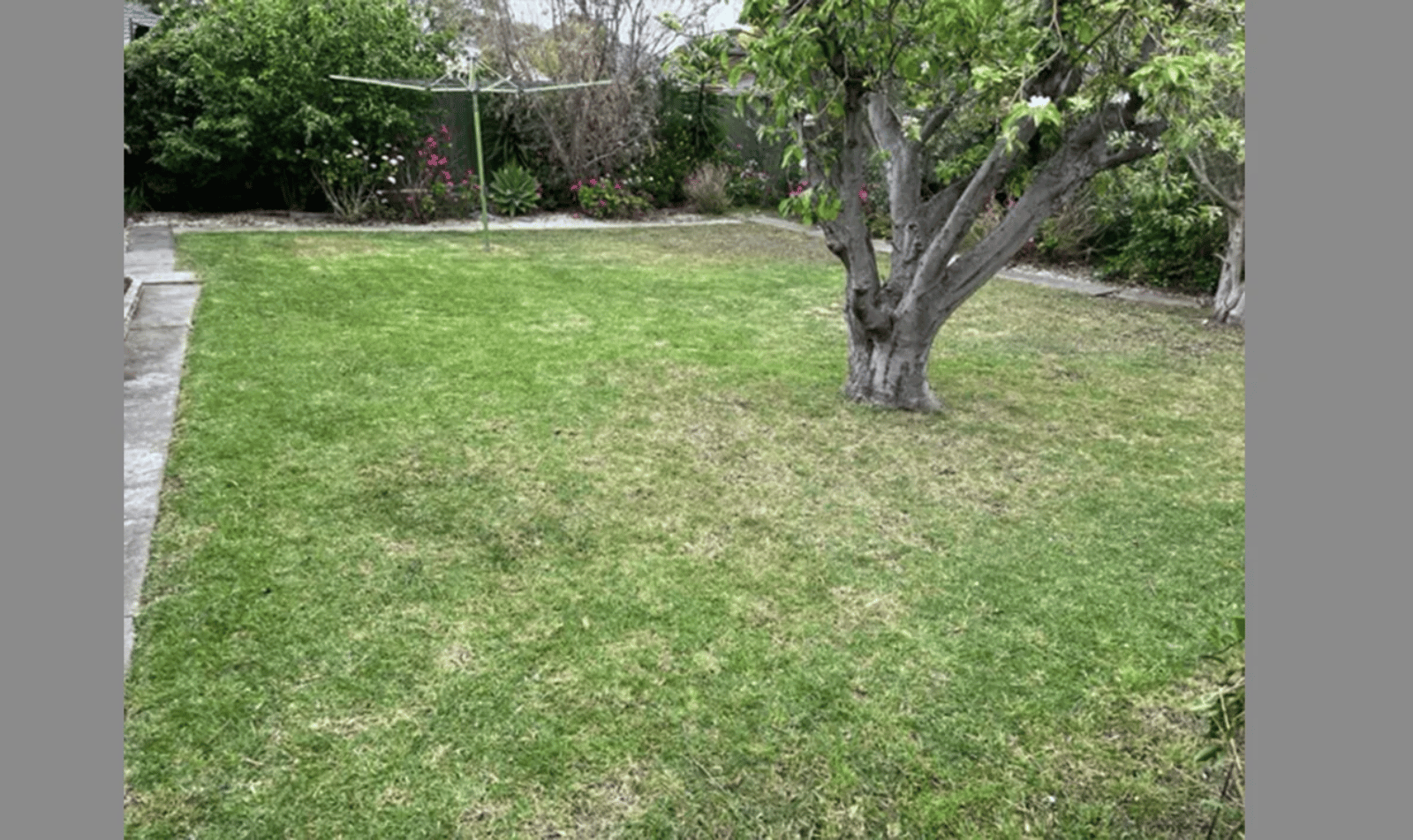 Garden Maintenance After