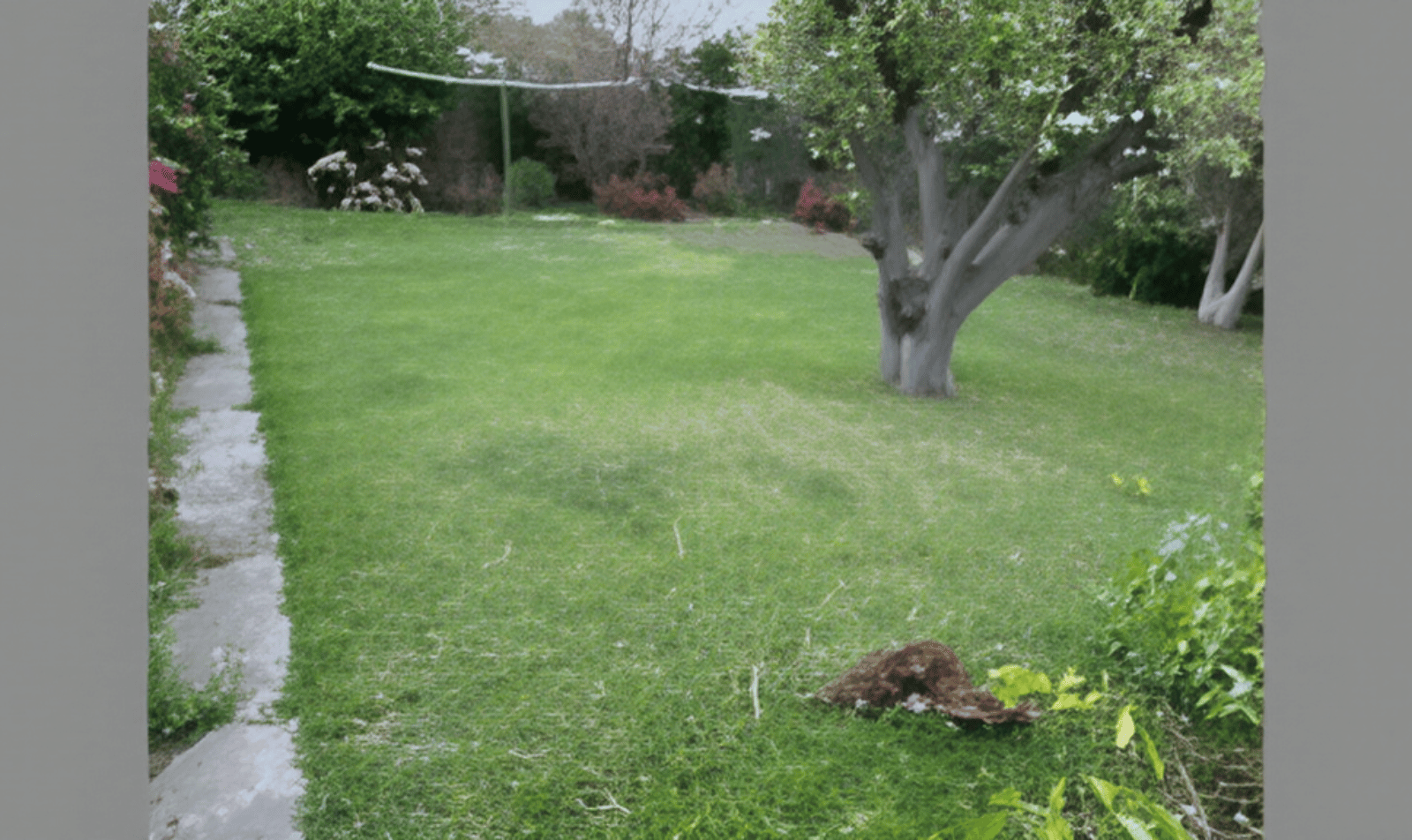 Garden Maintenance Before