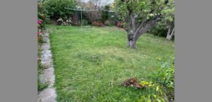 Garden Maintenance After