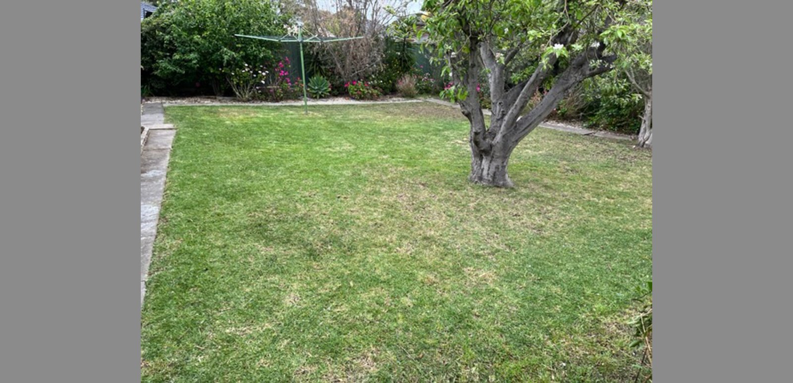 Garden Maintenance Before