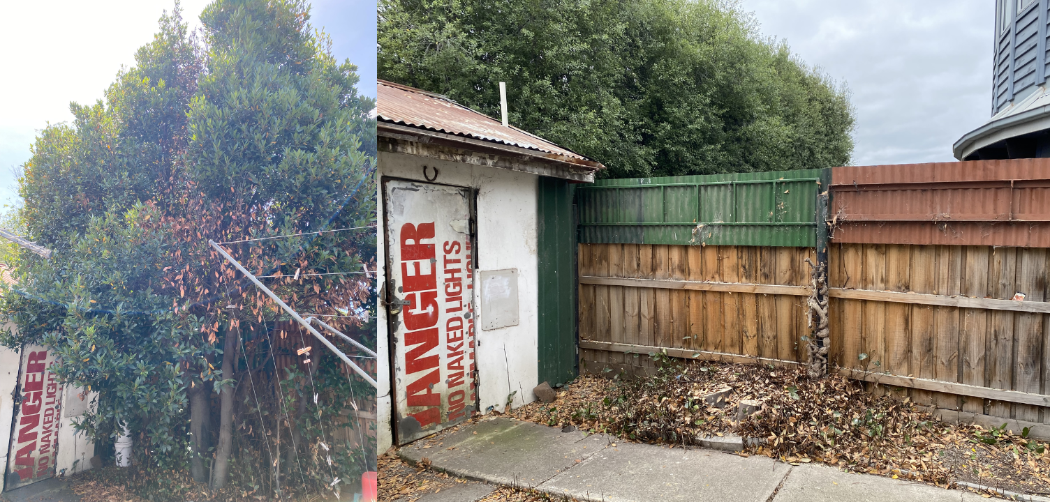 Tree Removal(small to medium)